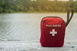 pet emergency first aid kit