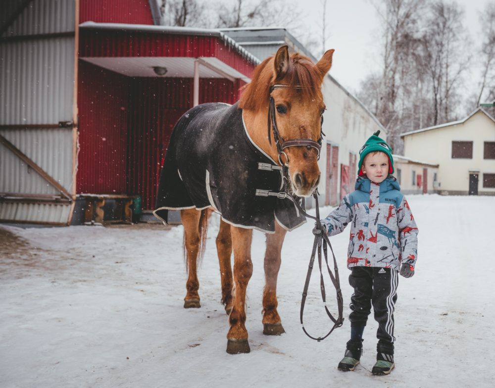 winter horse care